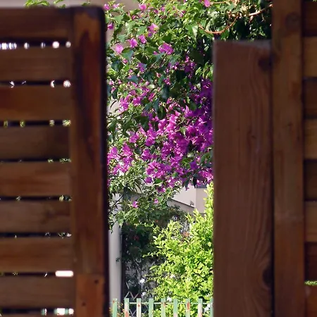 Raya Sea House Apartment Torre del Lago Puccini
